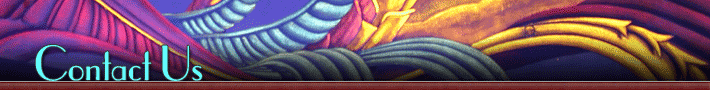 Contact Us